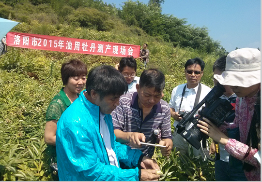 ������2015������ĵ������ֳ����������ٿ�