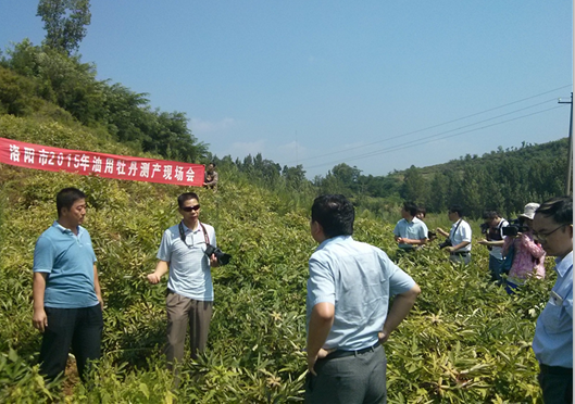 ������2015������ĵ������ֳ����������ٿ�